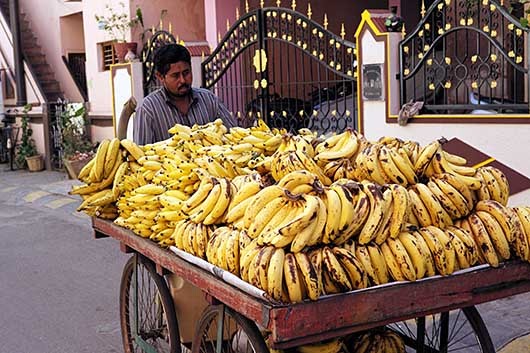 バンガロール バナナ売り