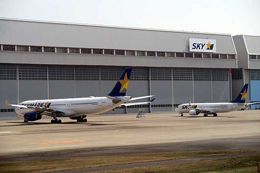 Skymark A330 & B737 羽田