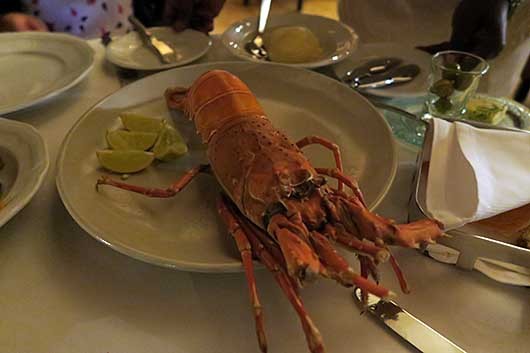 Steamed Lobster Riverside Italian Restaurant ＠ Goa